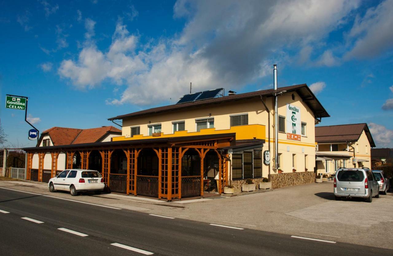 Guest House Celan Spodnja Hajdina Exteriör bild