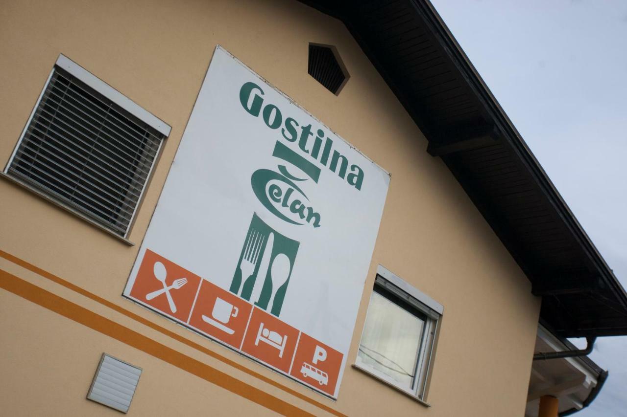 Guest House Celan Spodnja Hajdina Exteriör bild
